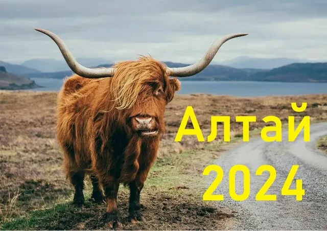 ГРАФИК ПОЕЗДОК НА АЛТАЙ ЛЕТО 2024: