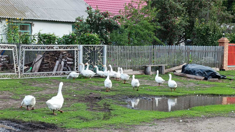Богородице-Казанский мужской монастырь - 21