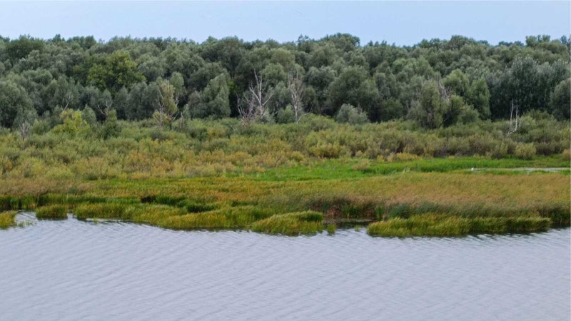 Богородице-Казанский мужской монастырь - 25